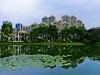 城市景色（4）