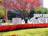运河艺术公园掠影