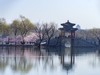 西堤春晓（8）