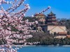 西堤春晓（8）
