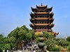 黄鹤楼有黄鹤