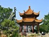黄鹤楼有黄鹤