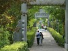 黄鹤楼有黄鹤