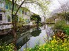 胶阳西路一小村