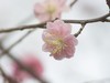 太原市龙潭公园（二）