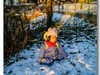 艾琳娜第一次玩雪（一岁半）