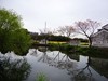胶阳西路一小村