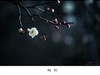 梅