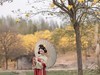 一路花开一路铃，风吹铃乱笑娉婷。