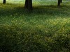 莫奈花园 悠闲舒适 天坛公园 （39图）！