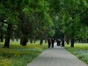 莫奈花园 悠闲舒适 天坛公园 （39图）！