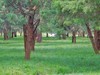 莫奈花园 悠闲舒适 天坛公园 （39图）！