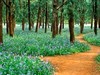 莫奈花园 悠闲舒适 天坛公园 （39图）！