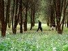莫奈花园 悠闲舒适 天坛公园 （39图）！