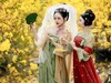 一路花开一路铃，风吹铃乱笑娉婷。