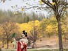 一路花开一路铃，风吹铃乱笑娉婷。