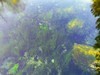 泉城的冬天【下】