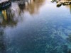 泉城的冬天【下】
