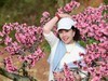 桃花盛开的池方