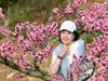 桃花盛开的池方