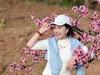 桃花盛开的池方