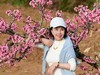 桃花盛开的池方