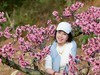 桃花盛开的池方