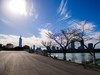 冬日玄武湖（4）