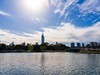冬日玄武湖（4）