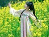 油菜花