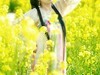 油菜花