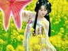 油菜花