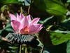 增加一下人气