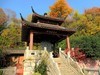黄鹤楼随拍三【完】