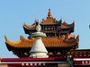黄鹤楼随拍三【完】
