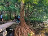 手机随拍——杭州西湖九溪景区（下）