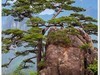 2025年-黄山风光纪实抓拍-0478