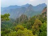2025年-黄山风光纪实抓拍-0478