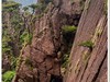2025年-黄山风光纪实抓拍-0478
