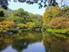 手机随拍——杭州西湖九溪景区（下）