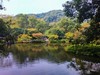 手机随拍——杭州西湖九溪景区（下）