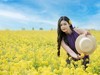 主题人像【油菜花开】