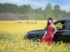 主题人像【油菜花开】