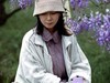 紫藤树下