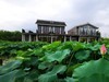 金山水库村湿地公园