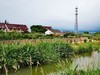 金山水库村湿地公园