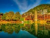 凤凰古城随拍 14