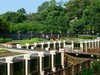 中科院植物园