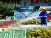 中科院植物园
