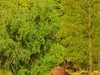 长沙生态植物园3